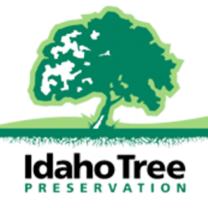 The Idaho Tree Preservation logo which displays a tall green tree and a strong root system.